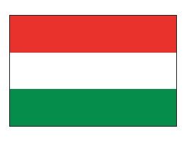 Flagge Ungarn 80 x 120 cm