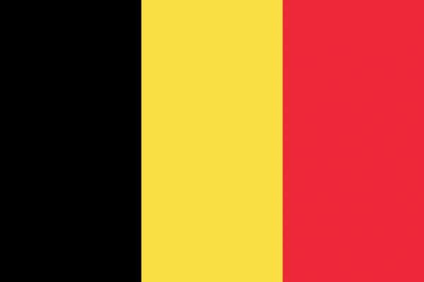 Flagge Belgien 80x120